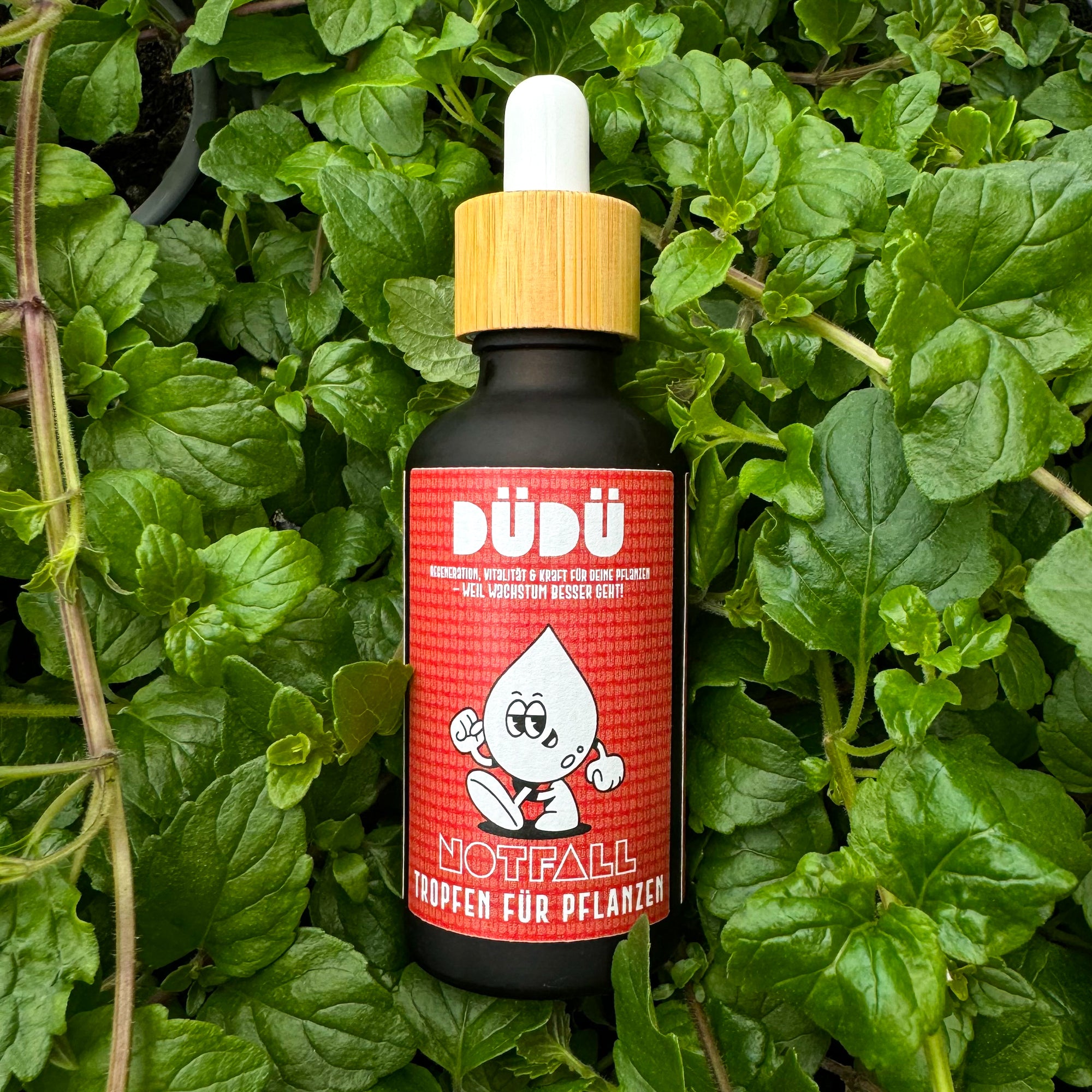 Notfalltropfen für Pflanzen