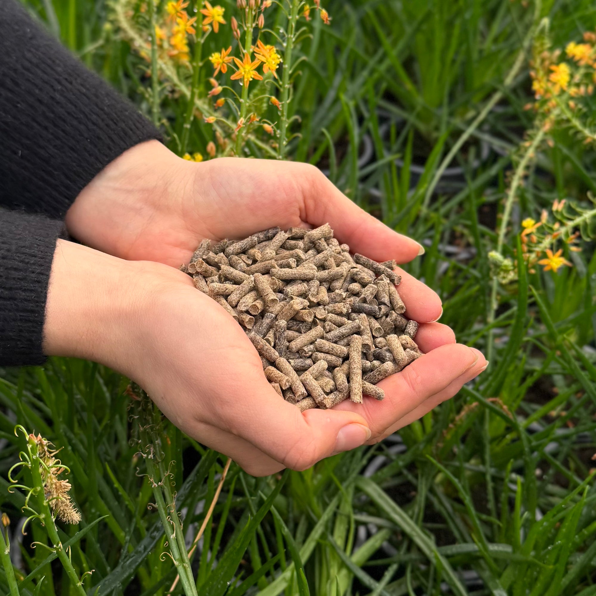 Schafwolldünger Garten